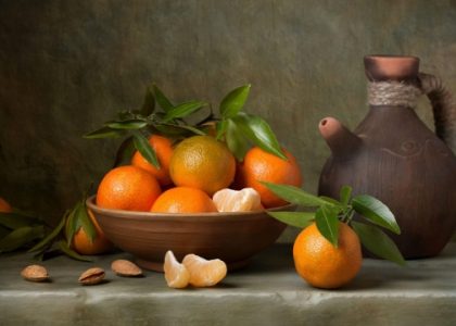 Through the Lens: Unveiling the Artistry of Photography
