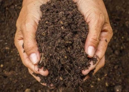 Going Green: Unveiling the Secrets of Organic Soils and Fertilizers
