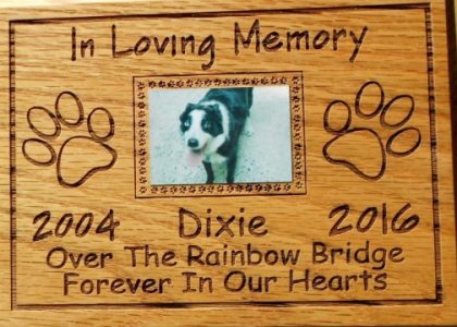 Saying Goodbye: Honoring Our Beloved Pets with a Touching Memorial