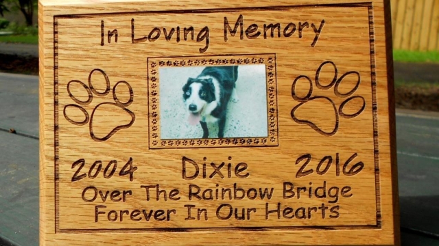 Saying Goodbye: Honoring Our Beloved Pets with a Touching Memorial