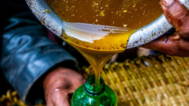 Unveiling the Sweet Secrets of Mad Honey