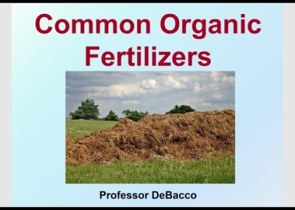 The Green Revolution: Unlocking Nature’s Potential with Organic Fertilizer