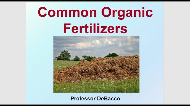 The Green Revolution: Unlocking Nature’s Potential with Organic Fertilizer