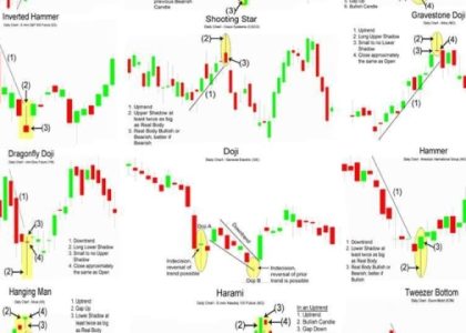 The Ultimate Showdown: Forex vs Crypto – Which Will Reign Supreme?