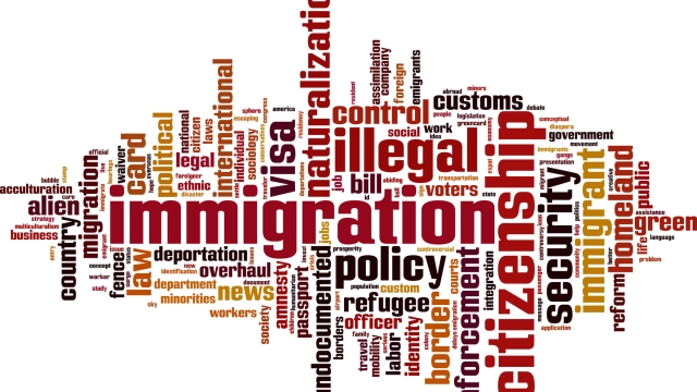 Navigating the Immigration Maze: Understanding the Laws and Processes