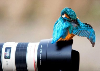 Capturing Moments: Mastering the Art of Meeting Photography