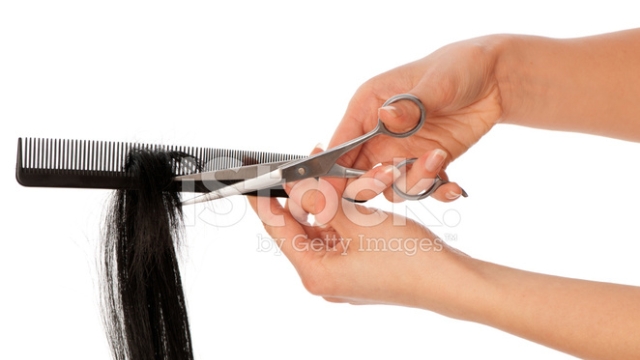 Hair Empowerment: The Role of Professionals in Certified Salons