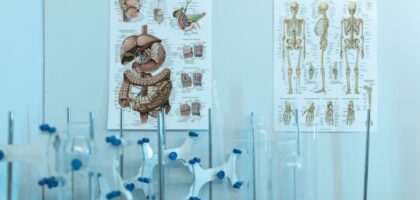 Understanding Quality Healthcare Delivery