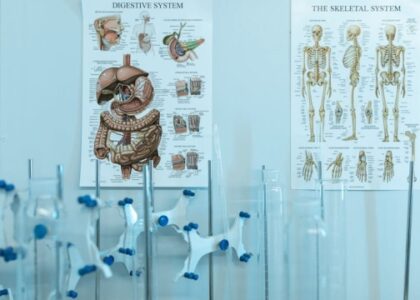 Understanding Quality Healthcare Delivery