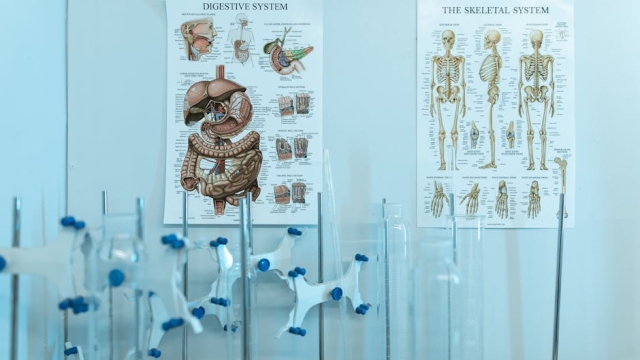 Understanding Quality Healthcare Delivery