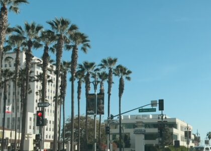 Why You Should Check Out hillstonelaw.com A Comprehensive Guide