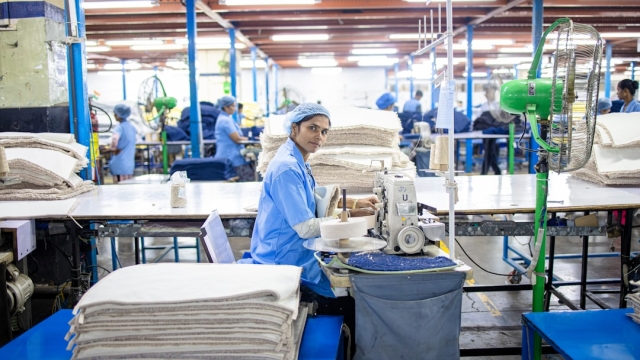 Understanding the Packaging Supply Chain Key Components and Processes