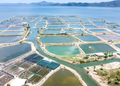 Sustainable Fish Farming Techniques