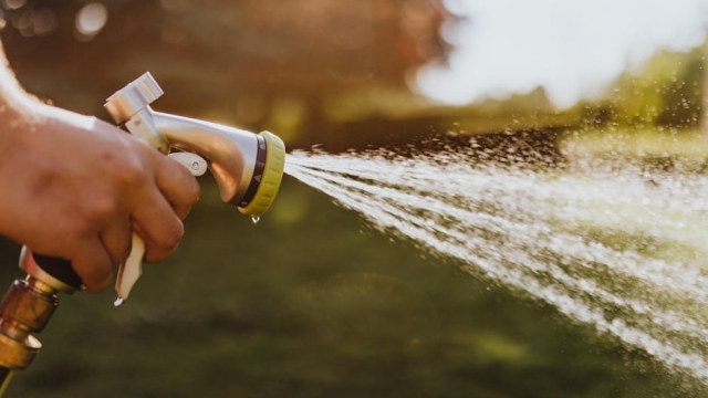 Common Pool Issues Identifying and Diagnosing Problems