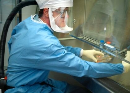 Essential Pool Maintenance Tips