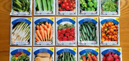 Healthy Brunch Recipes