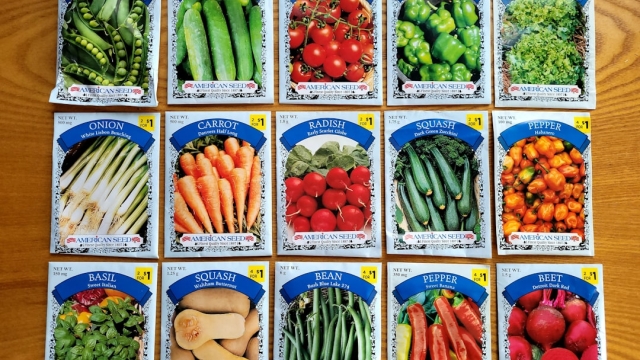 Healthy Brunch Recipes