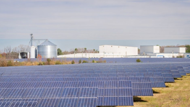 Benefits of Solar Panels for Offices in Chicago